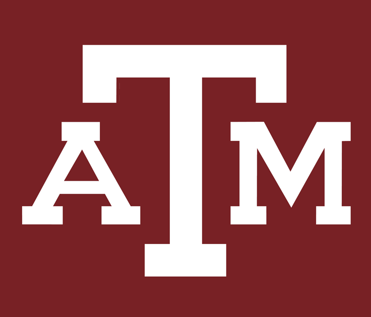 Texas A&M Aggies 1978-Pres Alternate Logo diy fabric transfers